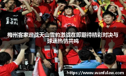 梅州客家迎战天山雪豹激战在即期待精彩对决与球迷热情共鸣